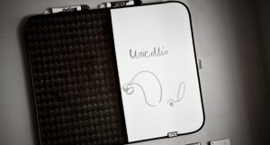 Unicornuate Uterus