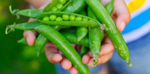 Summertime: The Perfect Time to Get Your Kids to Eat Their Veggies