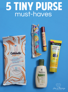 5 Tiny Purse Must Haves