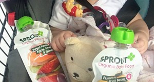 Sprout Organic baby food