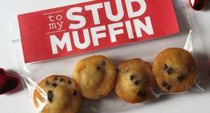 Stud Muffin Valentine's Day Printables