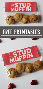 Stud Muffin Valentine's Day Printables
