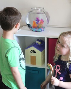 5 Reasons To Get Your Kids A Fish