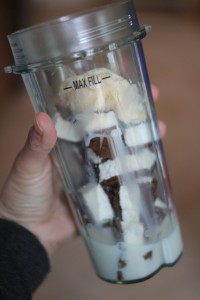 Ice Cream Sandwich Milkshake