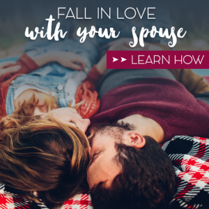 Fall Back In Love