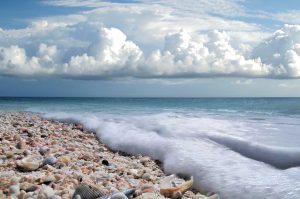 Spring Break Ideas for Families