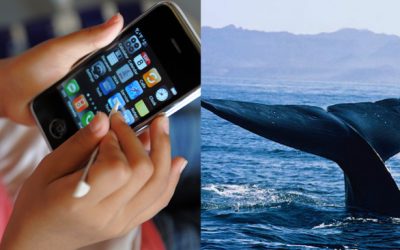 Blue Whale Challenge