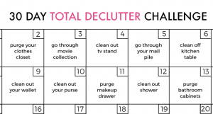 30 Day DeClutter Challenge