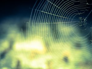 This is What Happens When a Spider Bites a Child