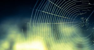 This is What Happens When a Spider Bites a Child