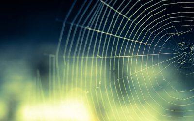 This is What Happens When a Spider Bites a Child