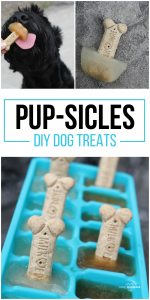 Dog Popicles