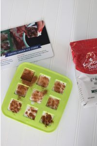 Coffee Cream Ice Cubes