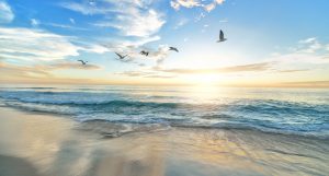 Why Science Says You NEED A Trip To The Beach