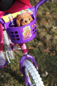 Dynacraft Barbie 16" Girls' Bike