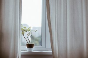 Air Purifying Plants