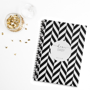 Dear Baby Pregnancy Journal and Trying to Conceive Journal
