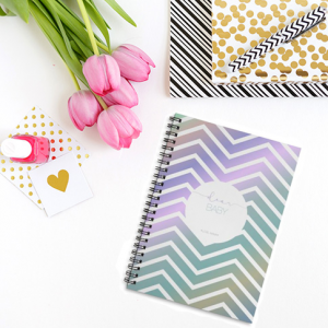 Dear Baby Pregnancy Journal and Trying to Conceive Journal