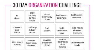 30 Day Organization Challenge