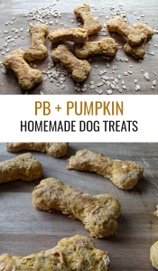 DIY Peanut Butter + Pumpkin Dog Treats