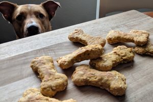 DIY Peanut Butter + Pumpkin Dog Treats