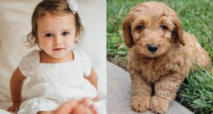 According To Science, Cute Aggression Makes You Want to Squeeze Babies and Puppies
