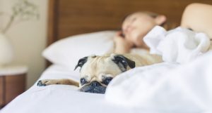 What Causes Snoring?