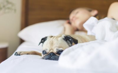 What Causes Snoring?