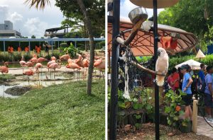 Miami Seaquarium