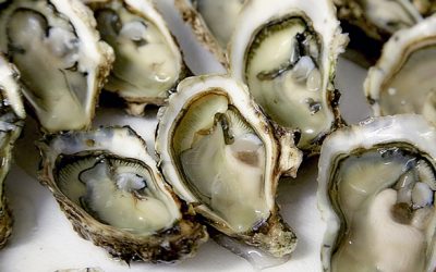 Doctors are starting to use oysters to treat anxiety and depression, here's why.