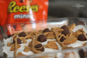 Peanut Butter Cookie Lasagna is a Reese's lovers dream! This easy dessert has layers and layers of yummy peanut butter and chocolate.