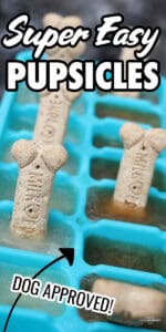 DIY pupsicles for dogs