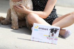 Why You Should Get A Dog DNA Kit