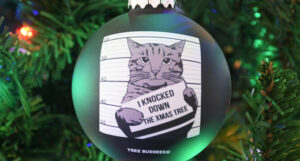 10 Funny Christmas Ornaments for Your Tree
