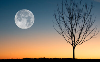 Spooky! Friday The 13th and A Full Moon on The Same Day