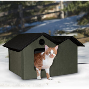 Insulated and Heated Outdoor Cat House