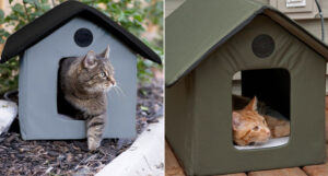 Insulated and Heated Outdoor Cat House