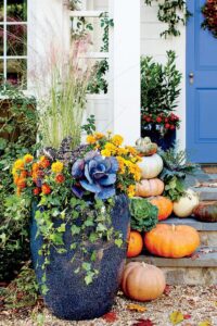 ornamental kale pumpkins porch