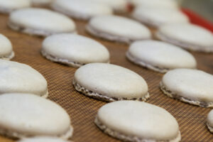 Macaroon Cookie Shell
