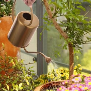Gifts for the Plant Lover Whose Living Room Has Reached Jungle Capacity