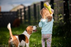 How To Create A Pet-Friendly Home Routine The Whole Family Can Take Part In