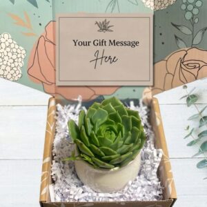 gifts under fifteen bucks